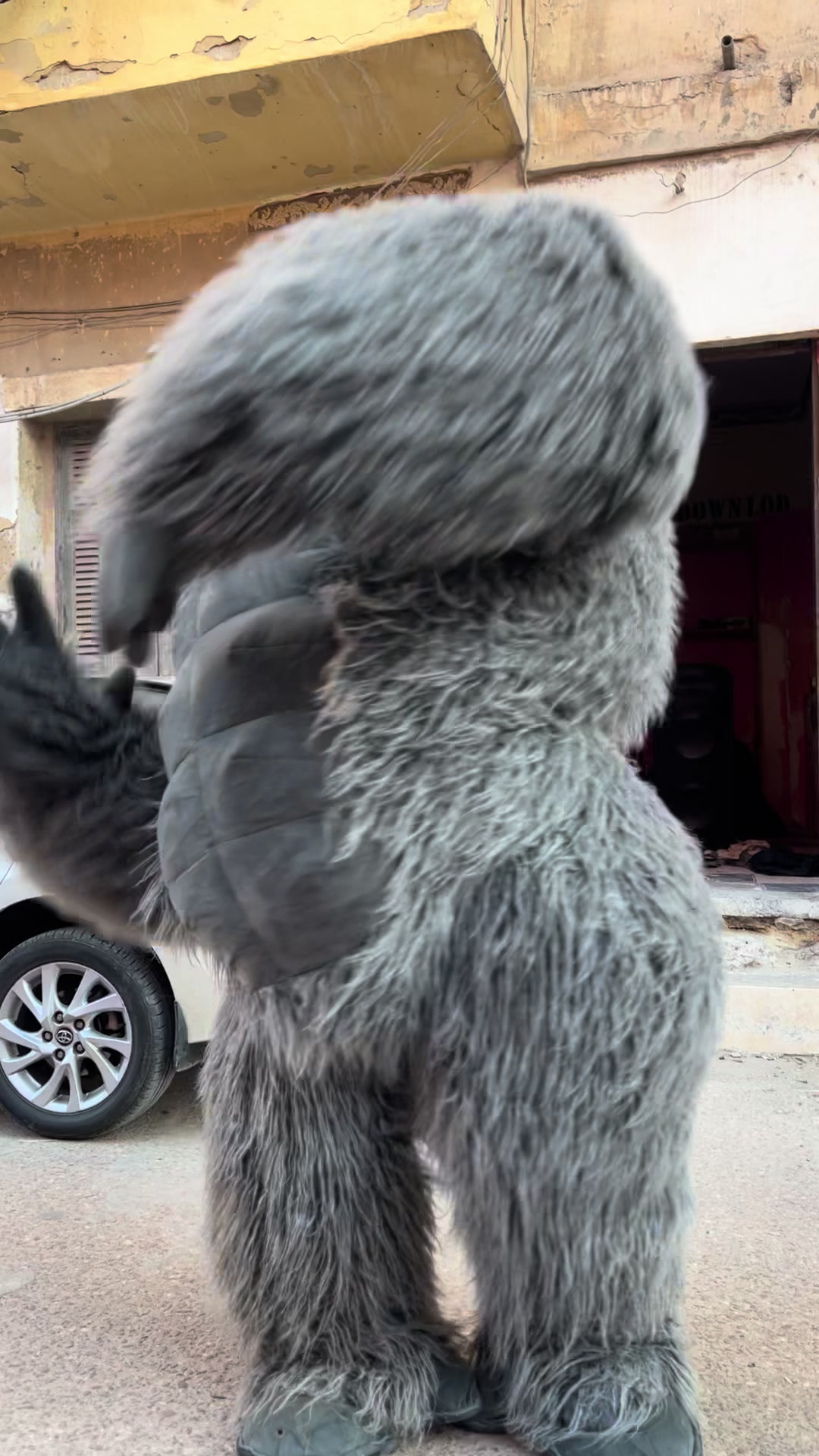 @بودا بتاع غوريلا🦍🔥