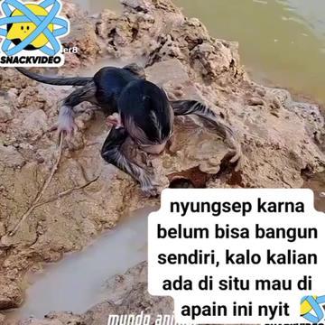 @babah zikri