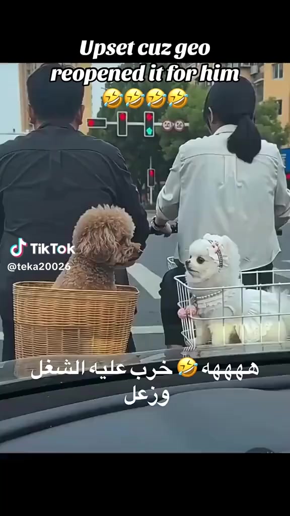@💃💃💃الروقان 🕺💃💃💃