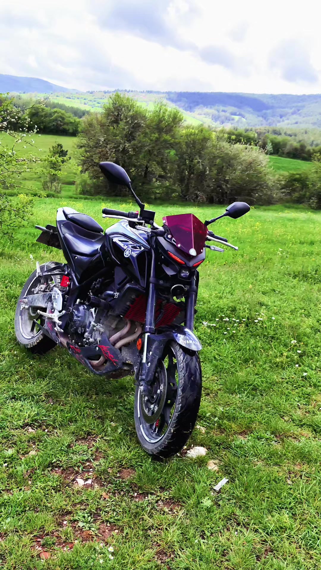 @MOTOAR37
