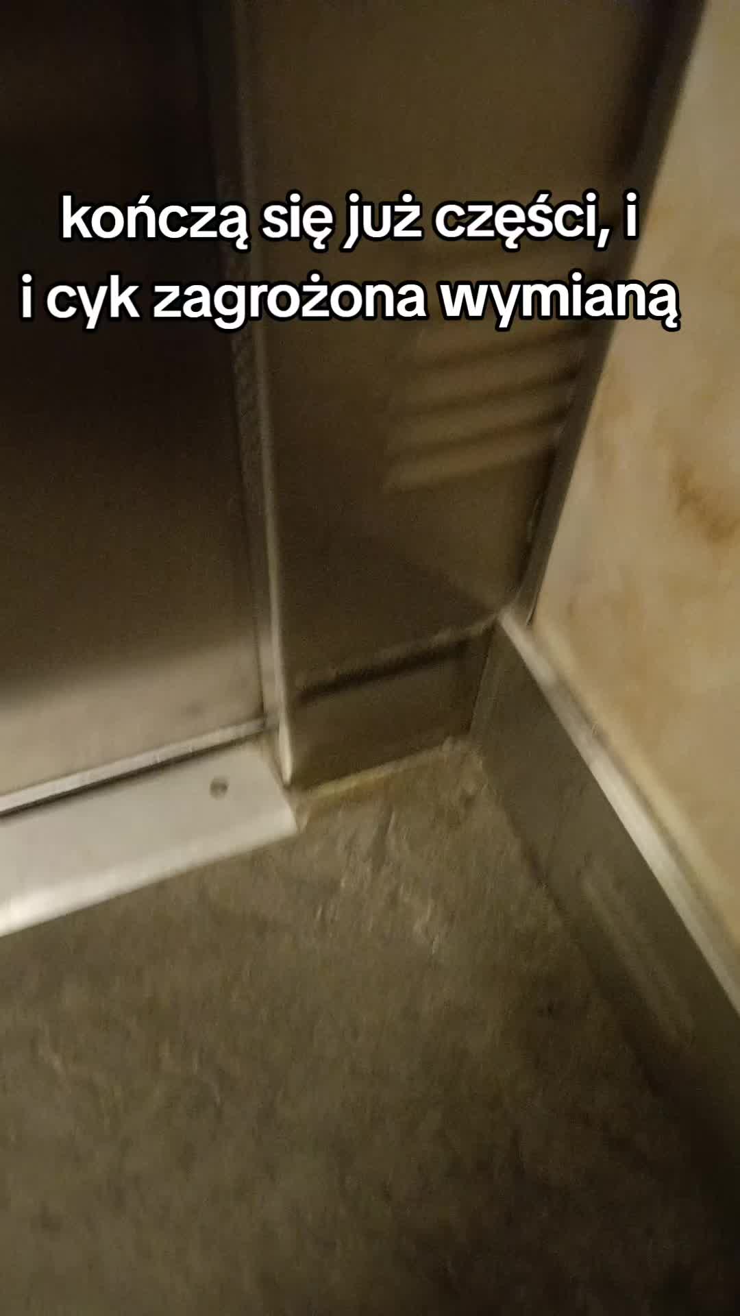 @Rekon ᛯ OXZREMB
