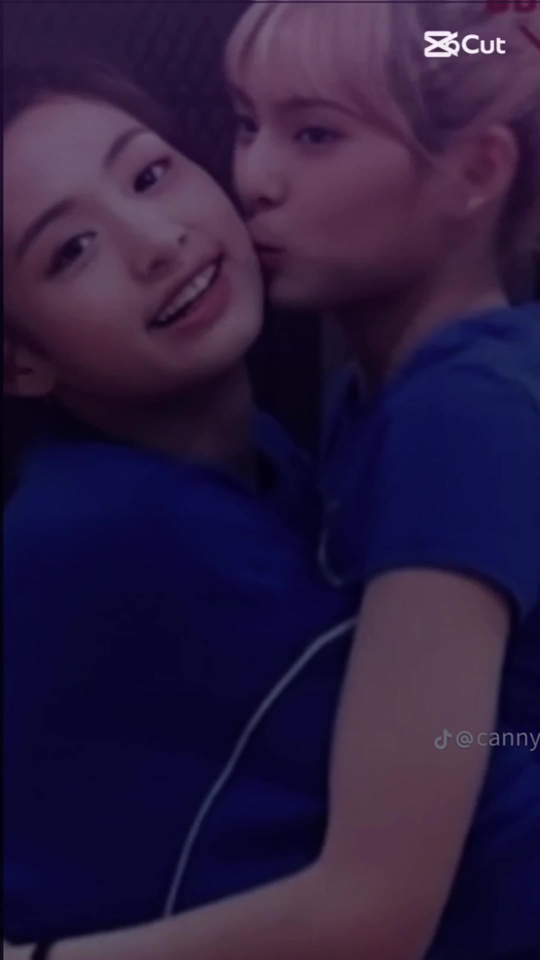 @鯊「瑜」(子瑜重度依賴者)