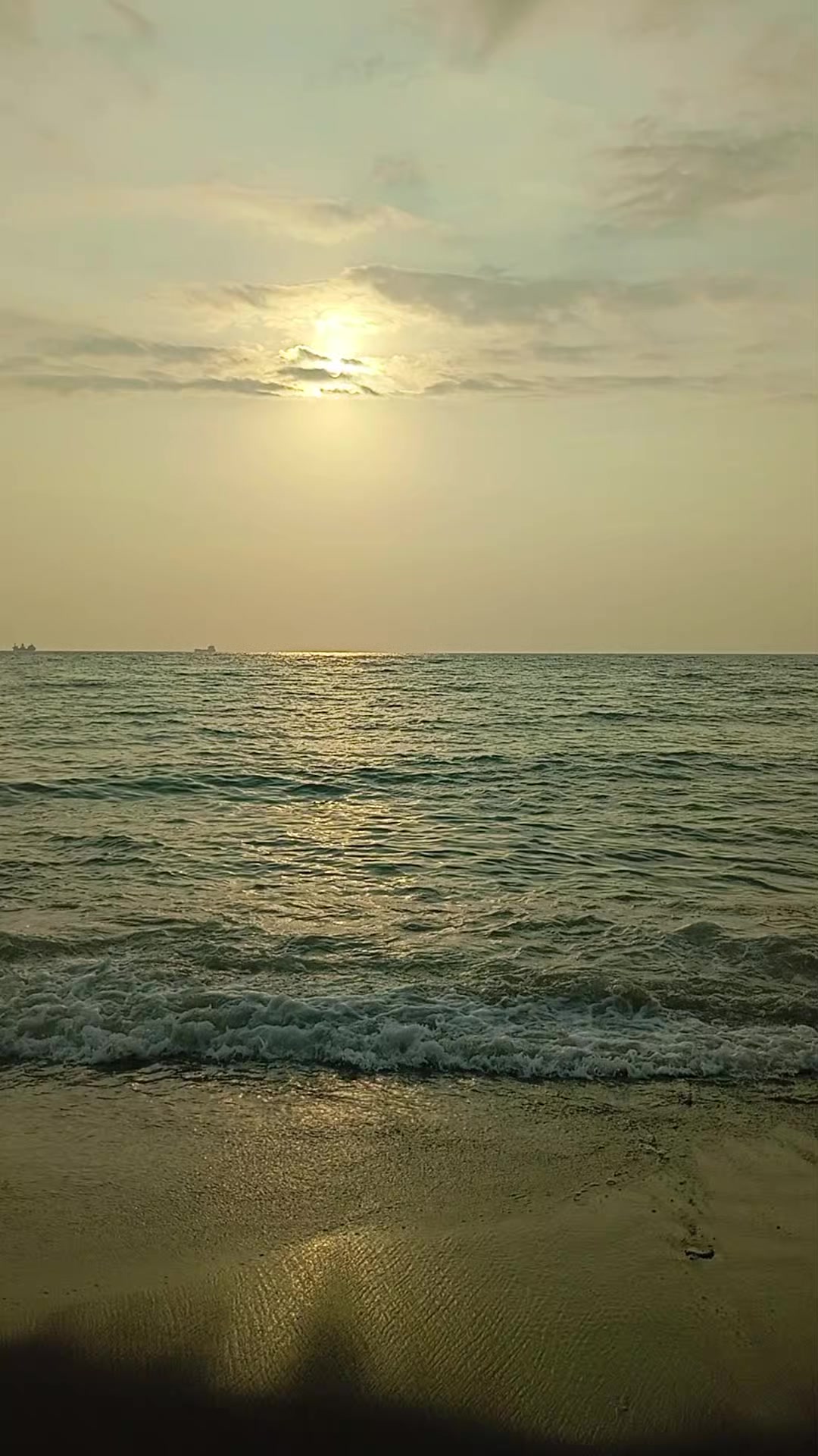 @mavi kelebek