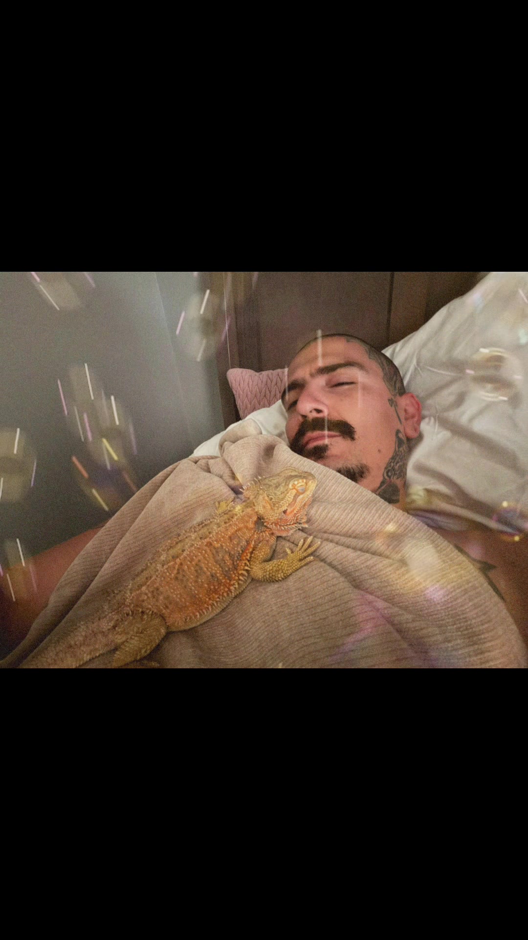 @DonBoston