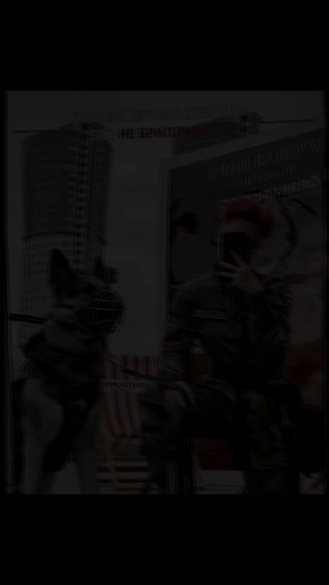 @✖️ Чертов Пес ✖️