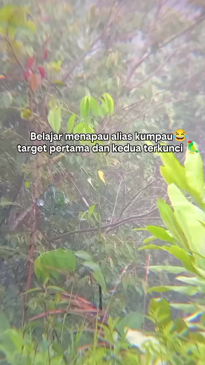 @Srindit kaltara 🦜