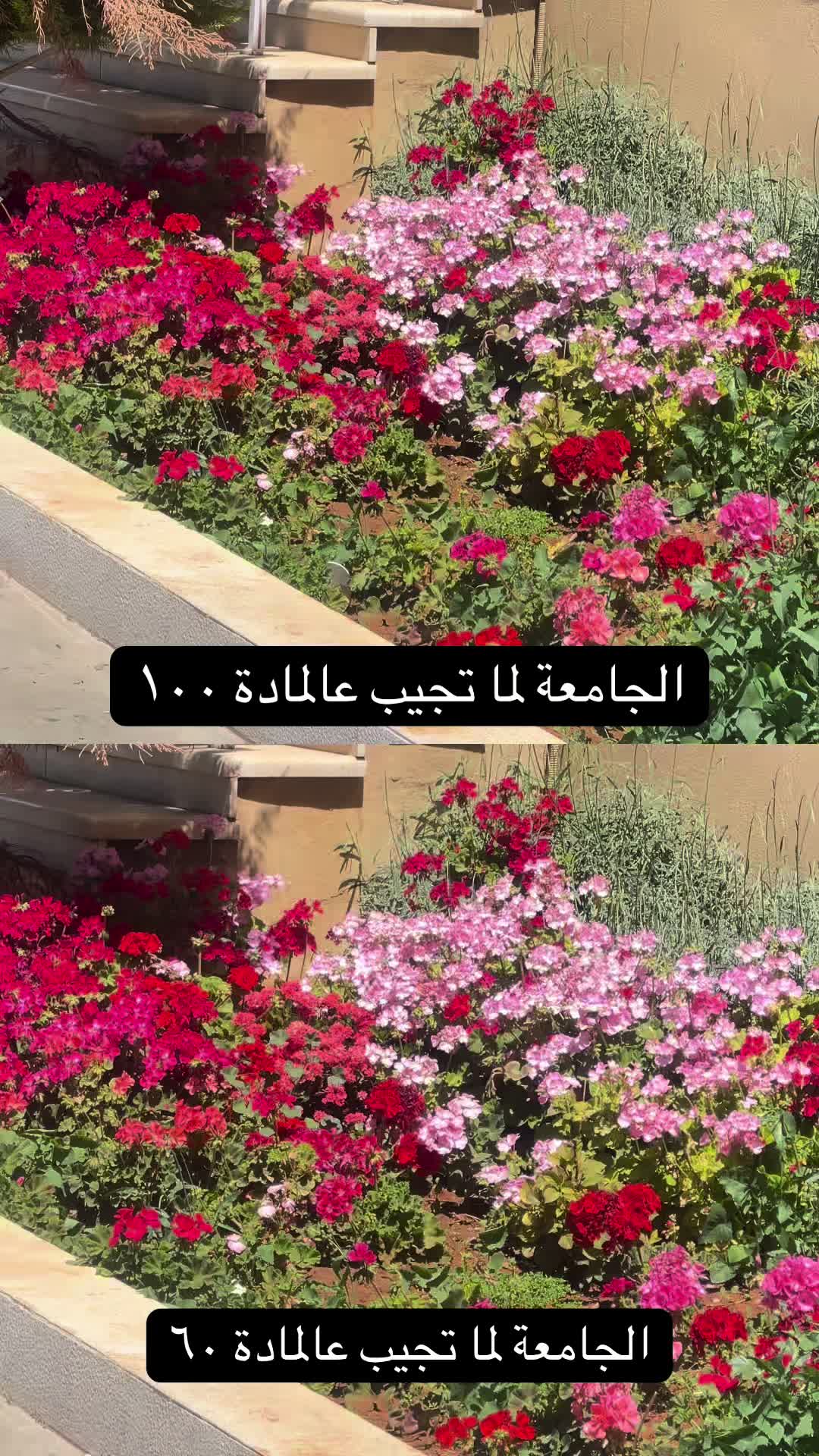 @Angelina🪽