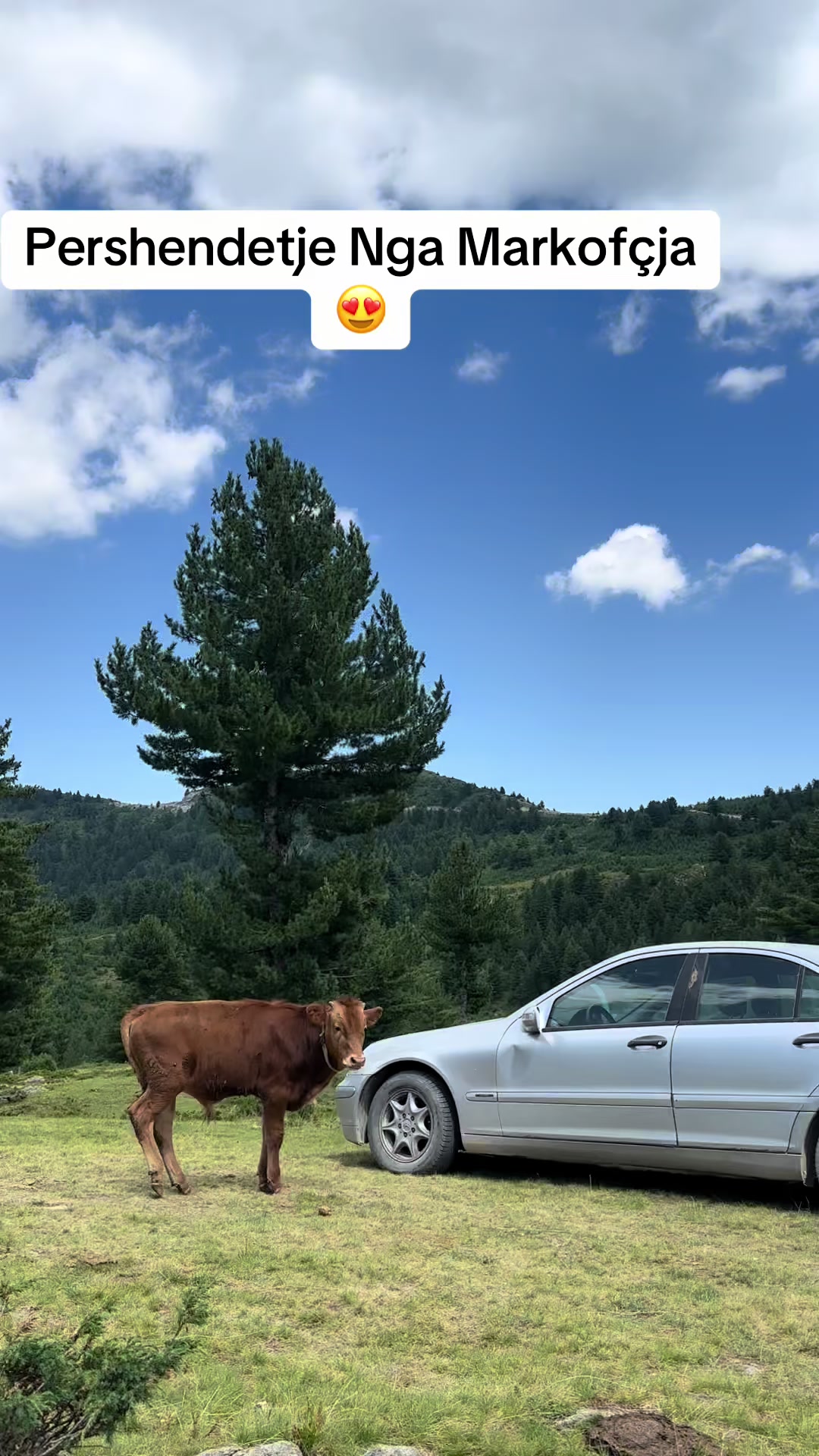 @Tropoja Vendi Me I Bukur