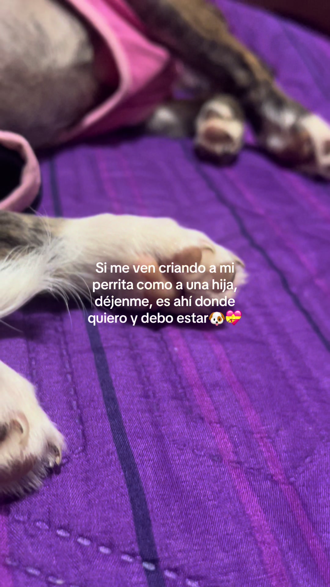 @🌺🌼Jossy🌼🌺