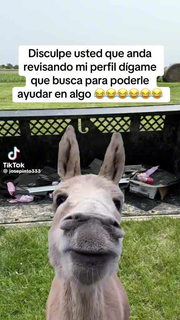 @carmenvelarde105
