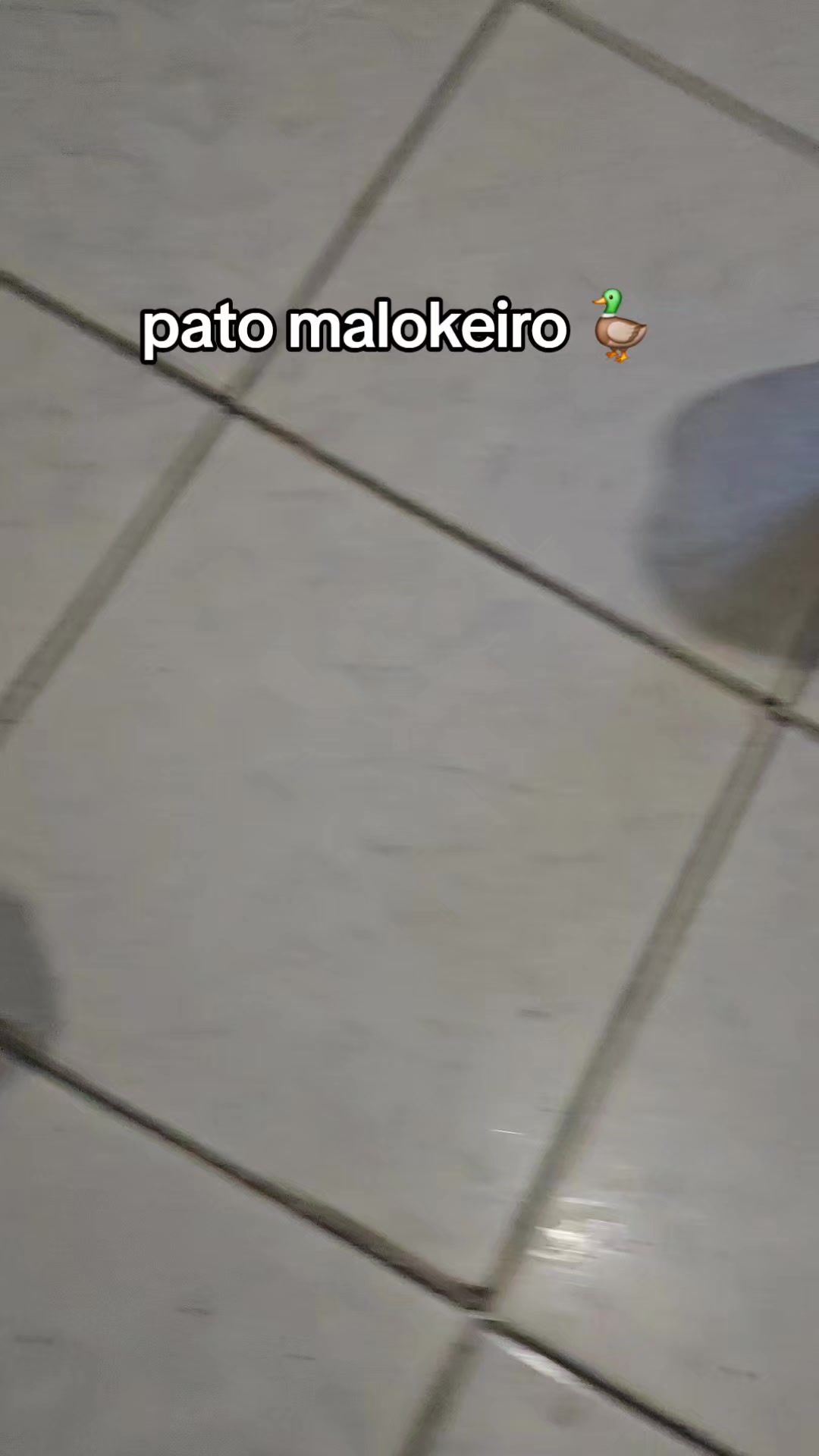 @Rodrigo lima