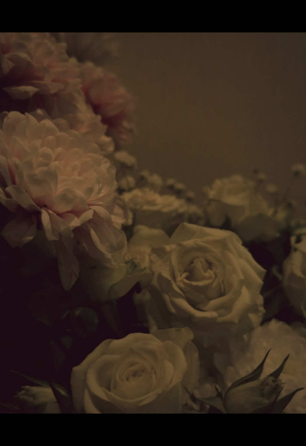 @/ᐠ - ˕ -マ Ⳋ