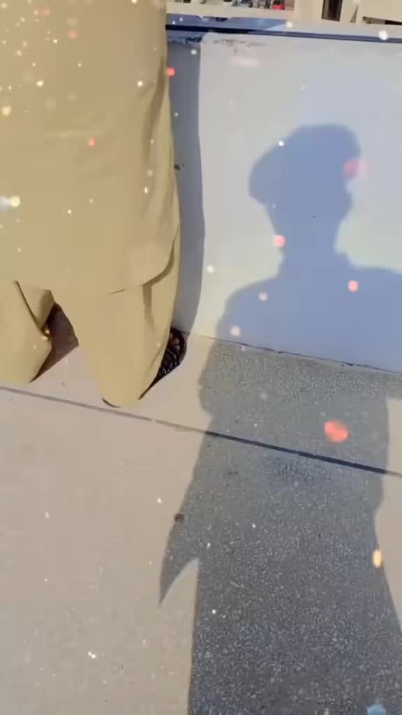 @💫💫 پنڈا آلے 💫💫