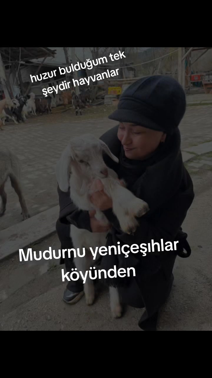 @Nurgül