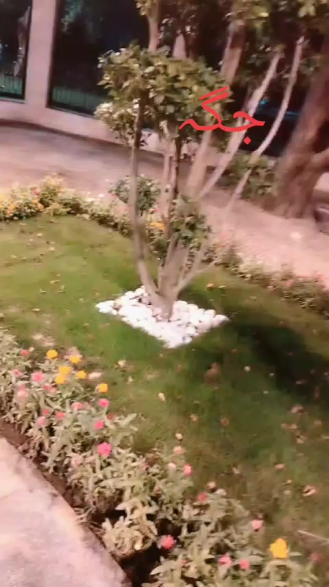 @absar Jani