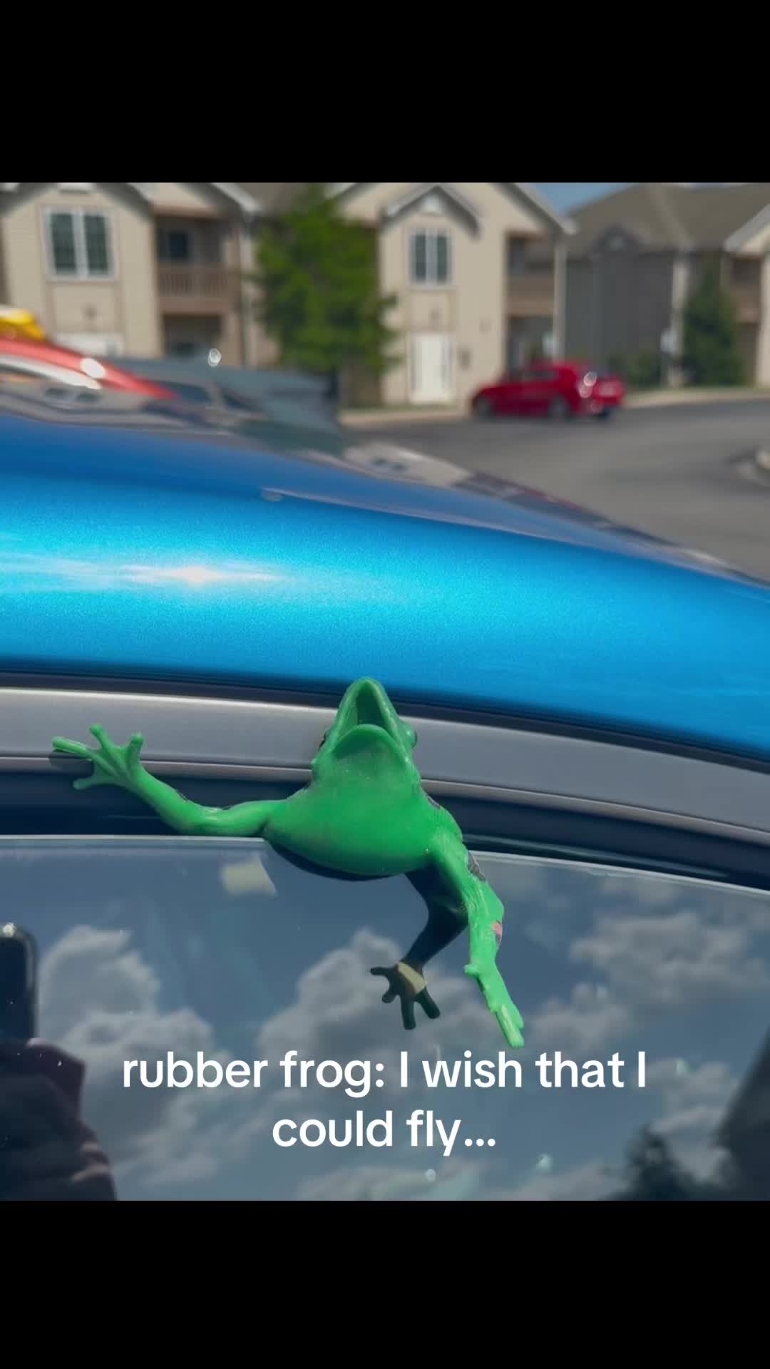 @Sarah🕸️🍓