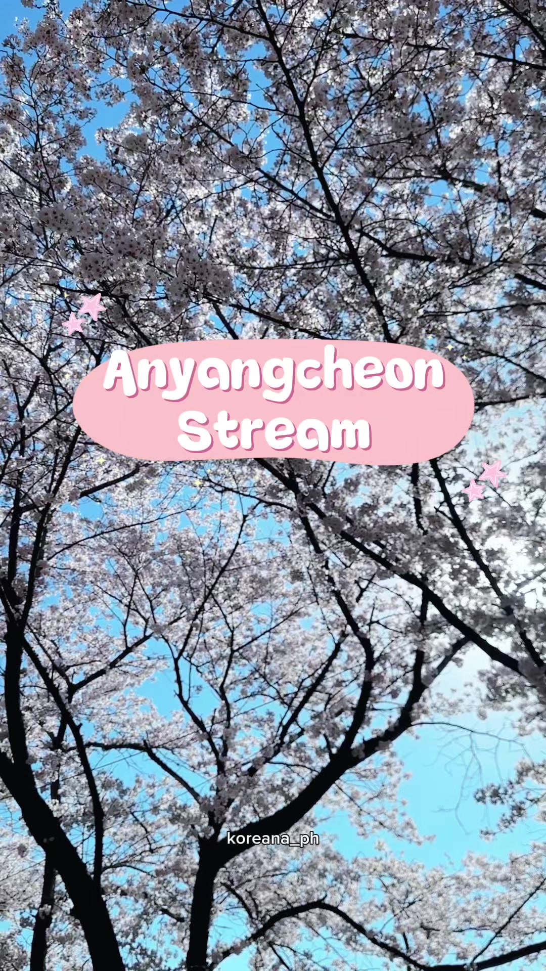 @koreana_ph