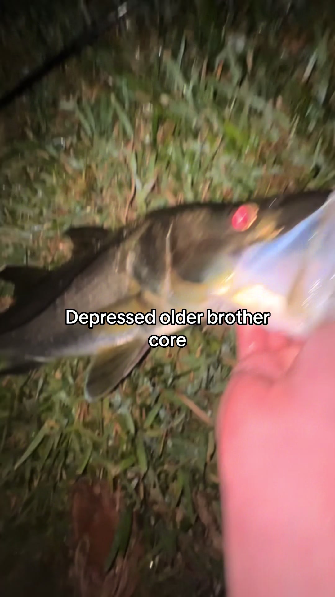 @x3_cooter