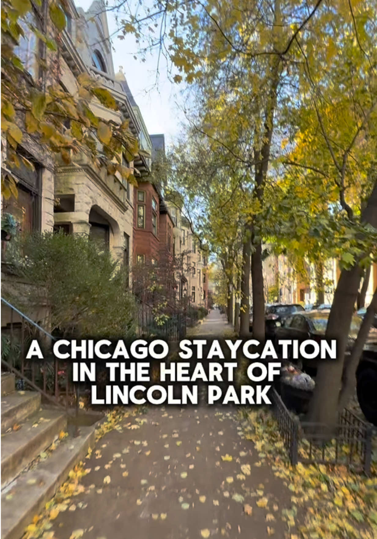 @Pooja Naik | Chicago Lifestyle