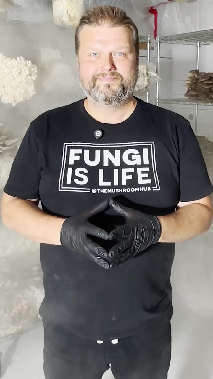 @The Mushroom Hub