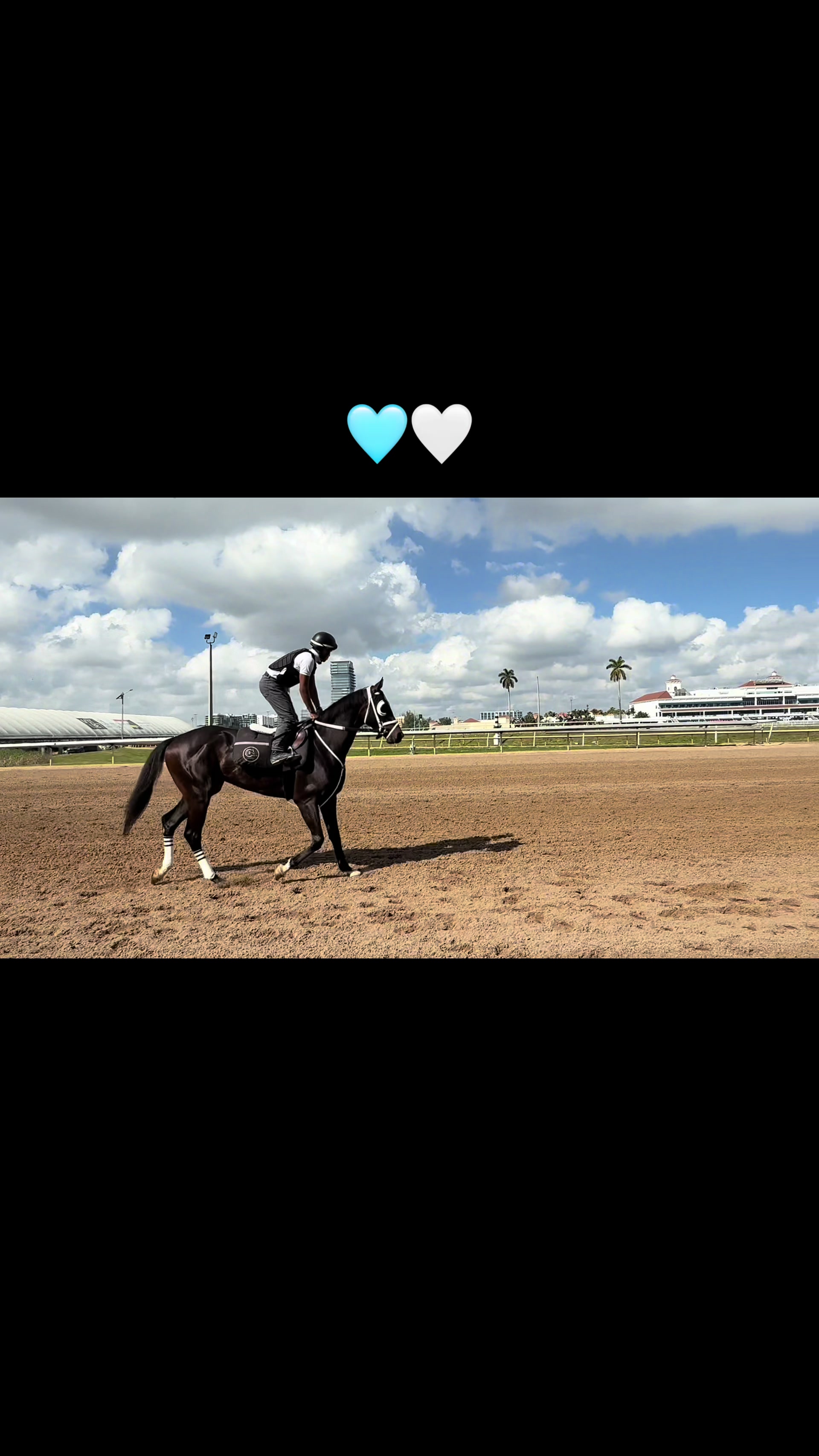 @gonzalezracingstables