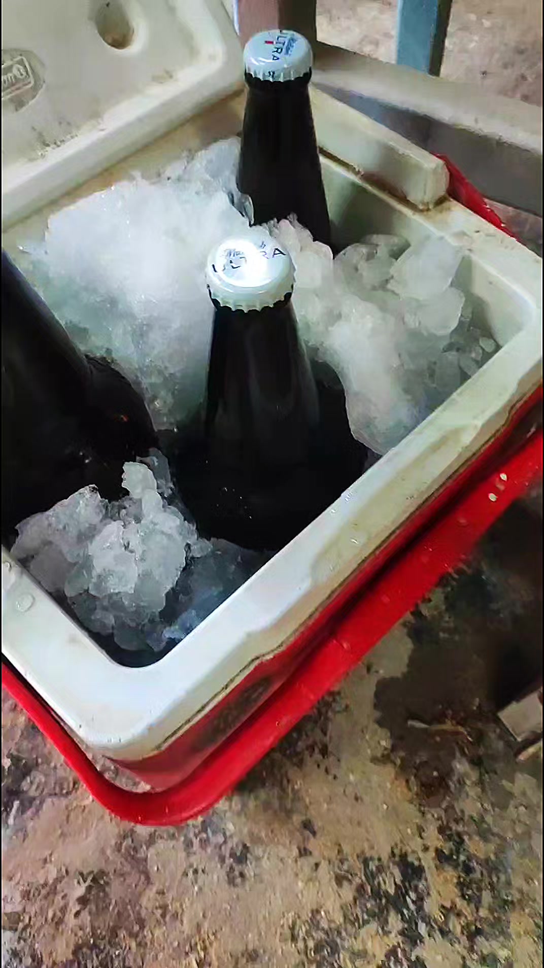 @Que bonito es lo 🐺 bonito🤠