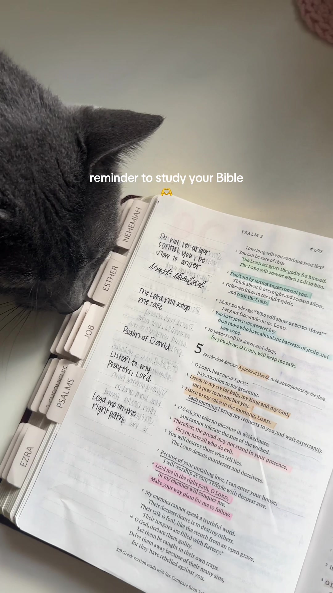 @the loving bible