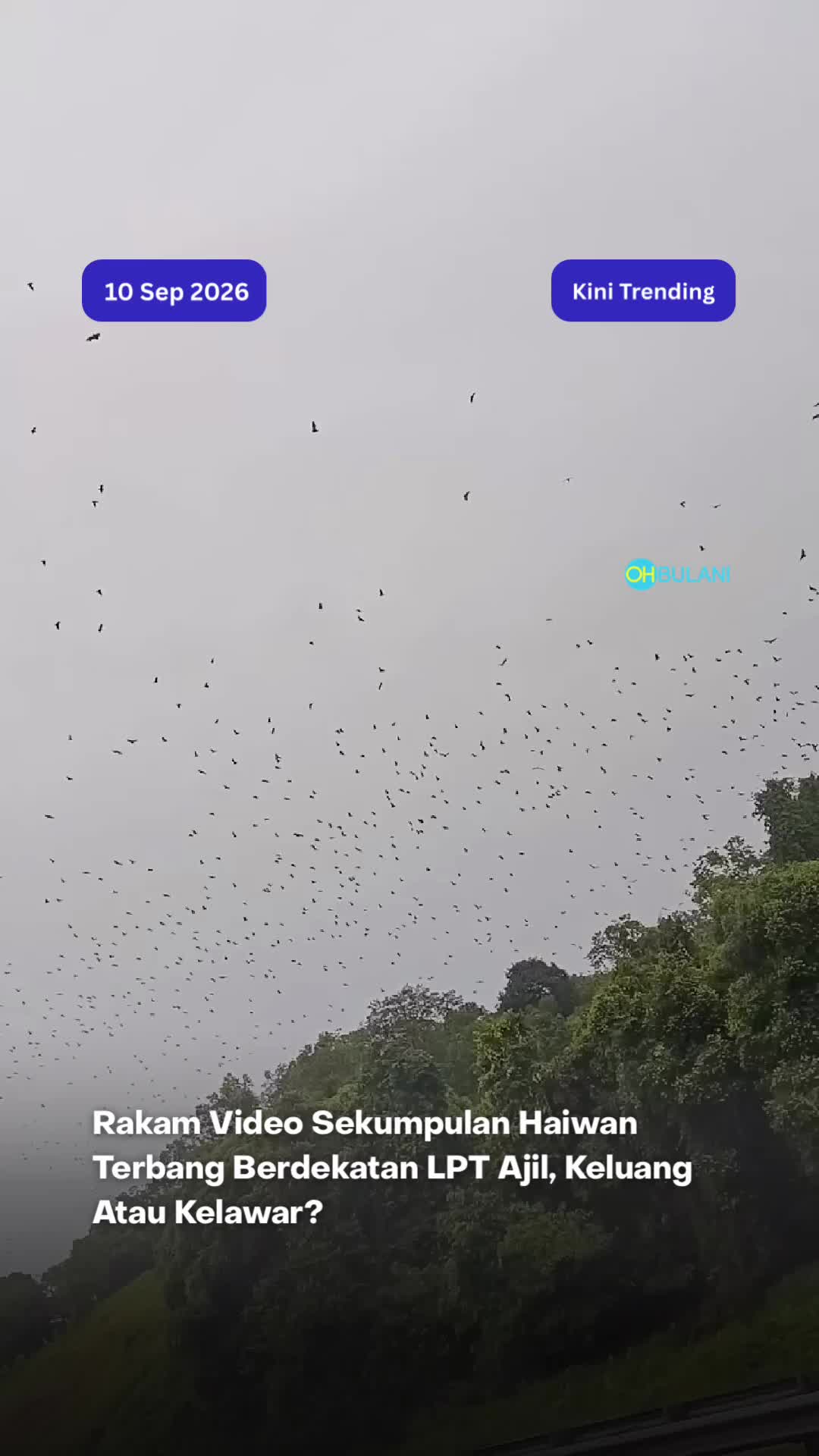@OHBULAN!