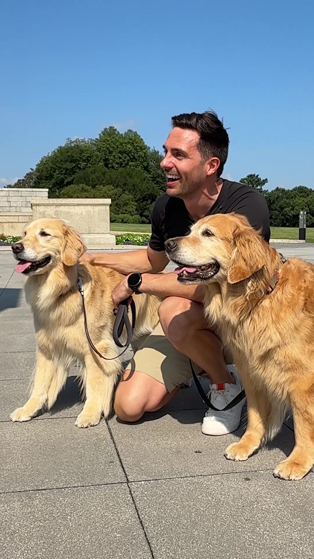 @Golden Retriever Life