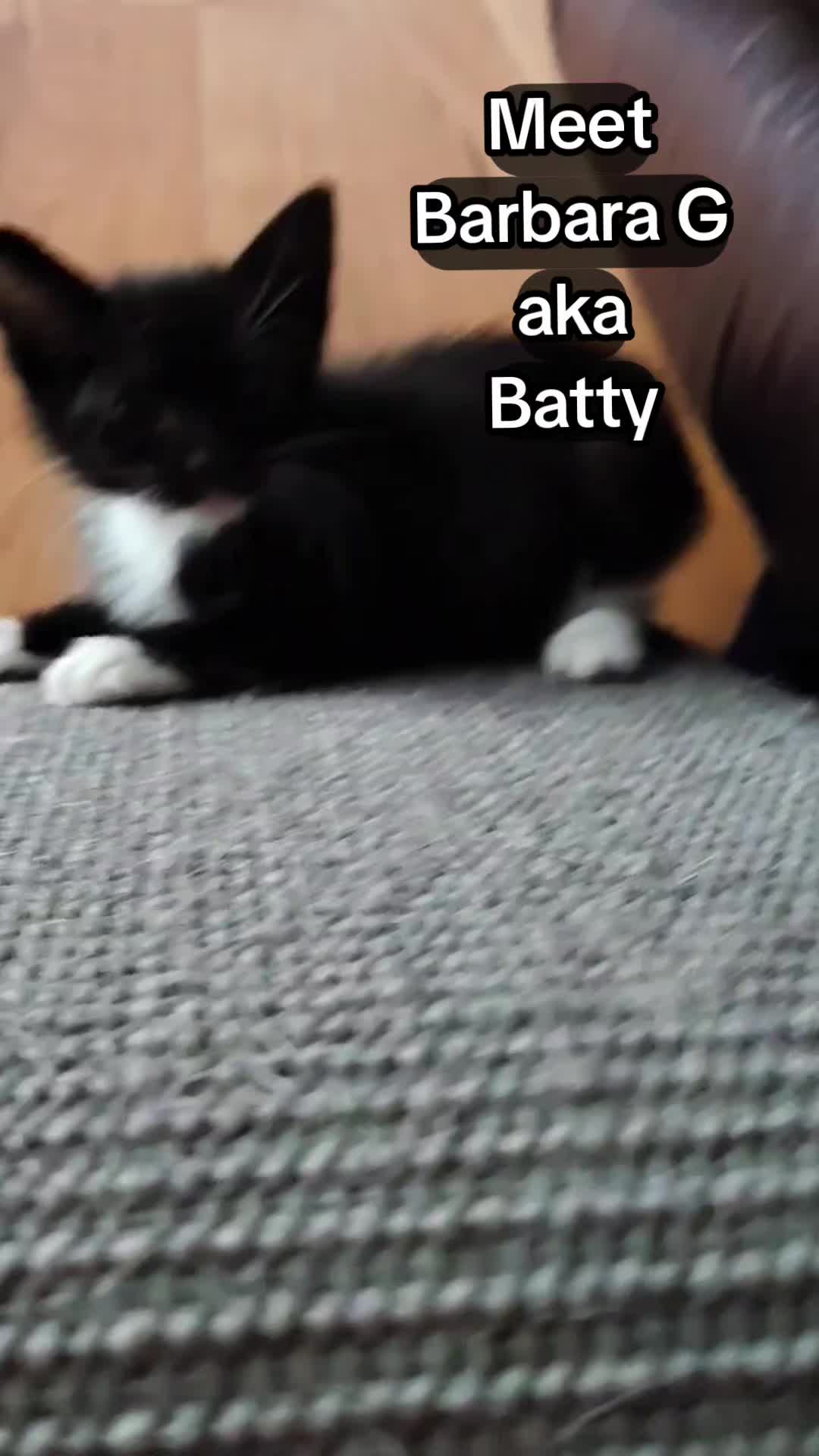 @Heather's Shitshow
