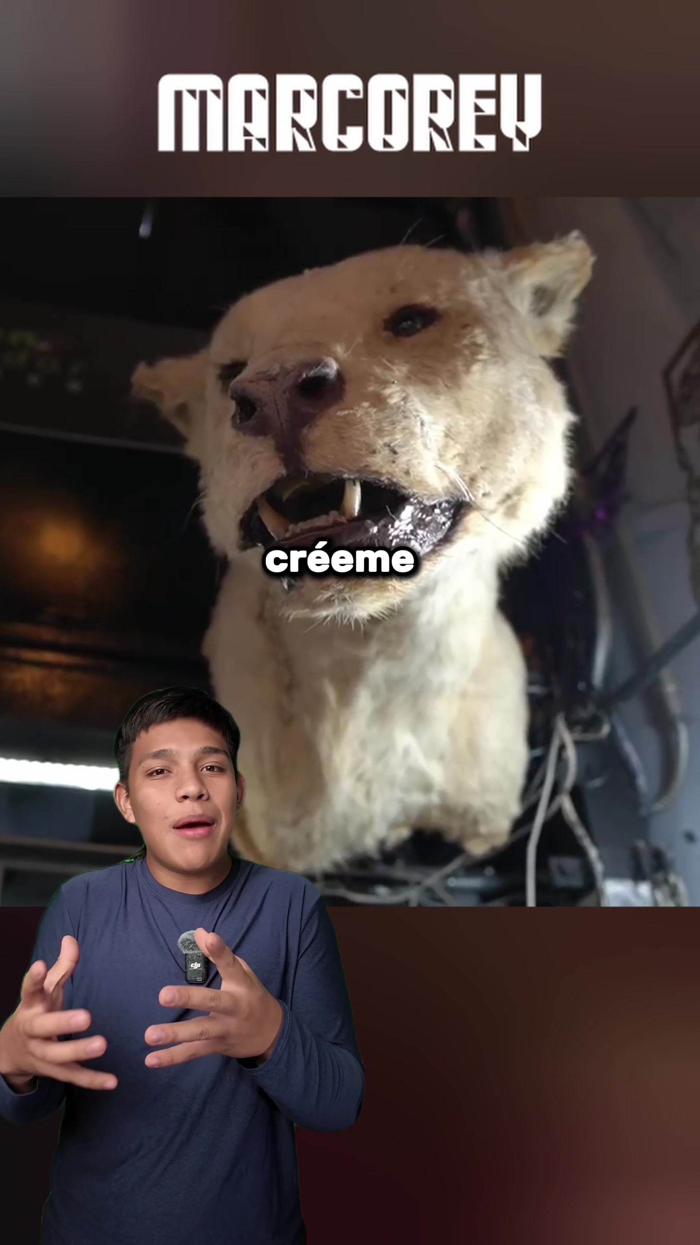 @marcoReyyy