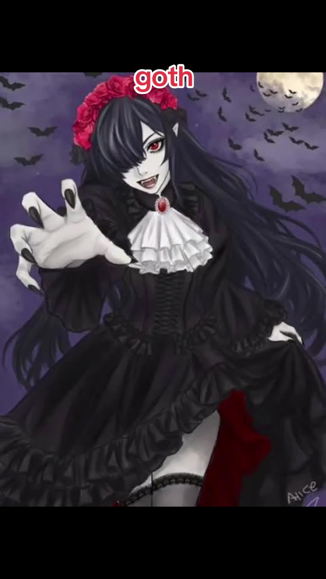 @koalalove20