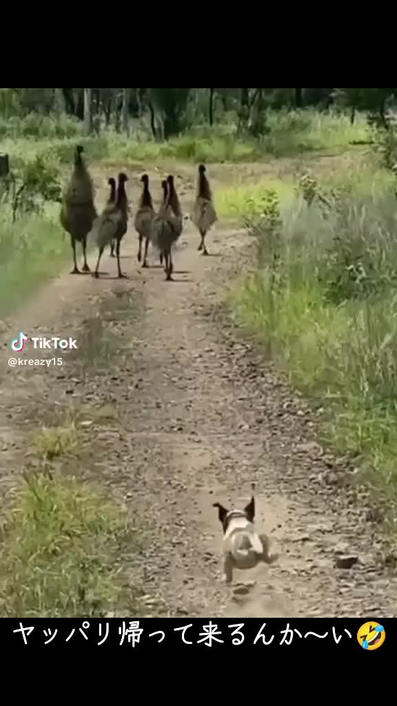 @ひろし❗️