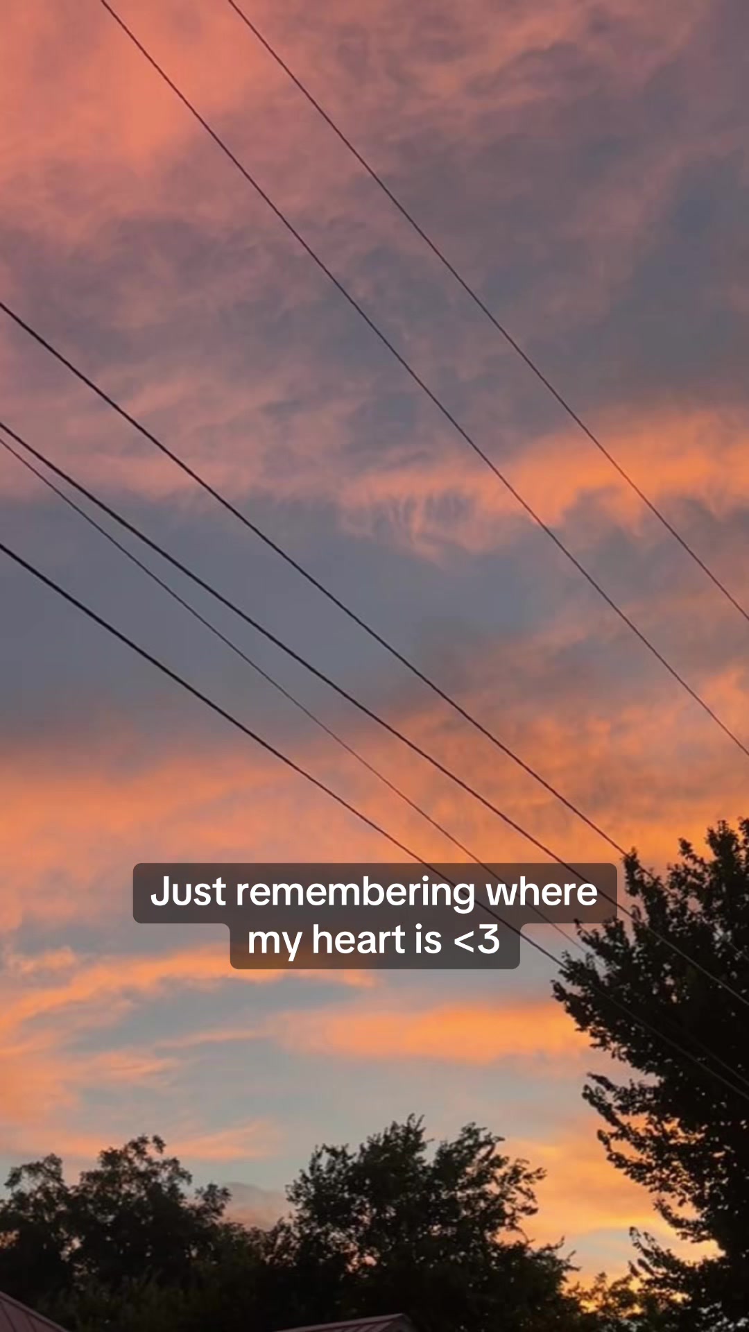 @Brenna Iannelli