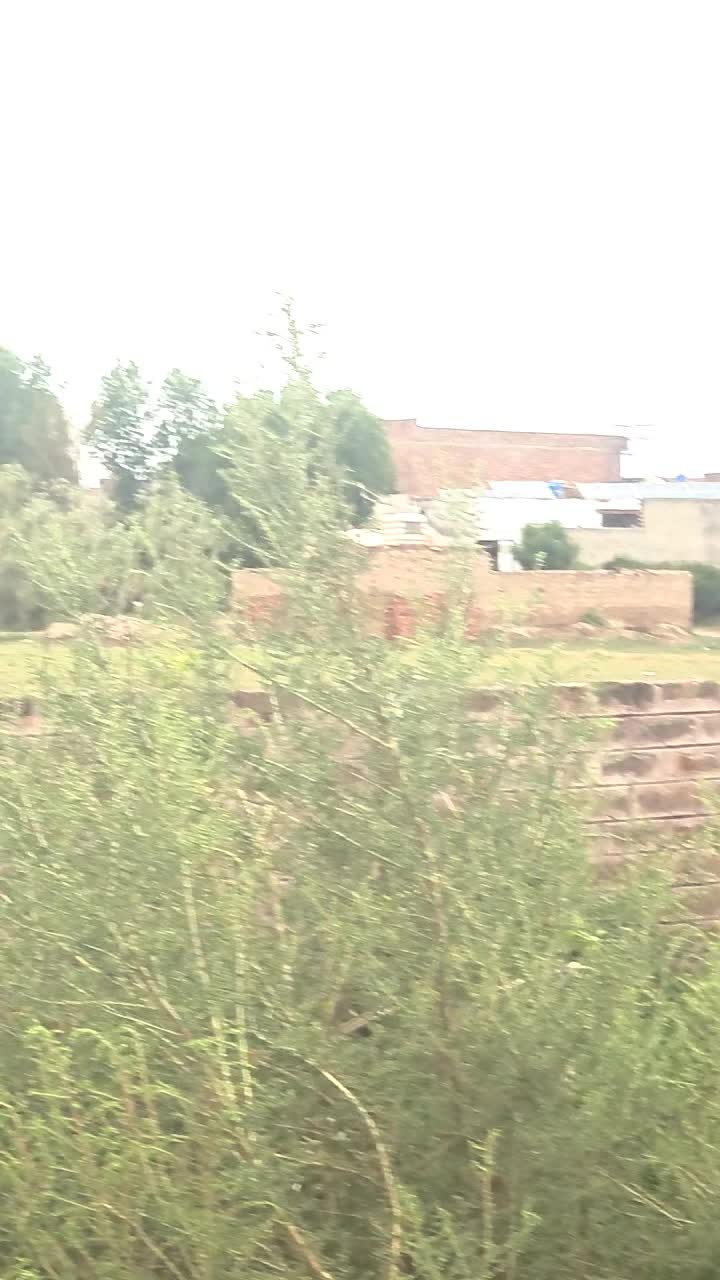 @ayubkhawar143