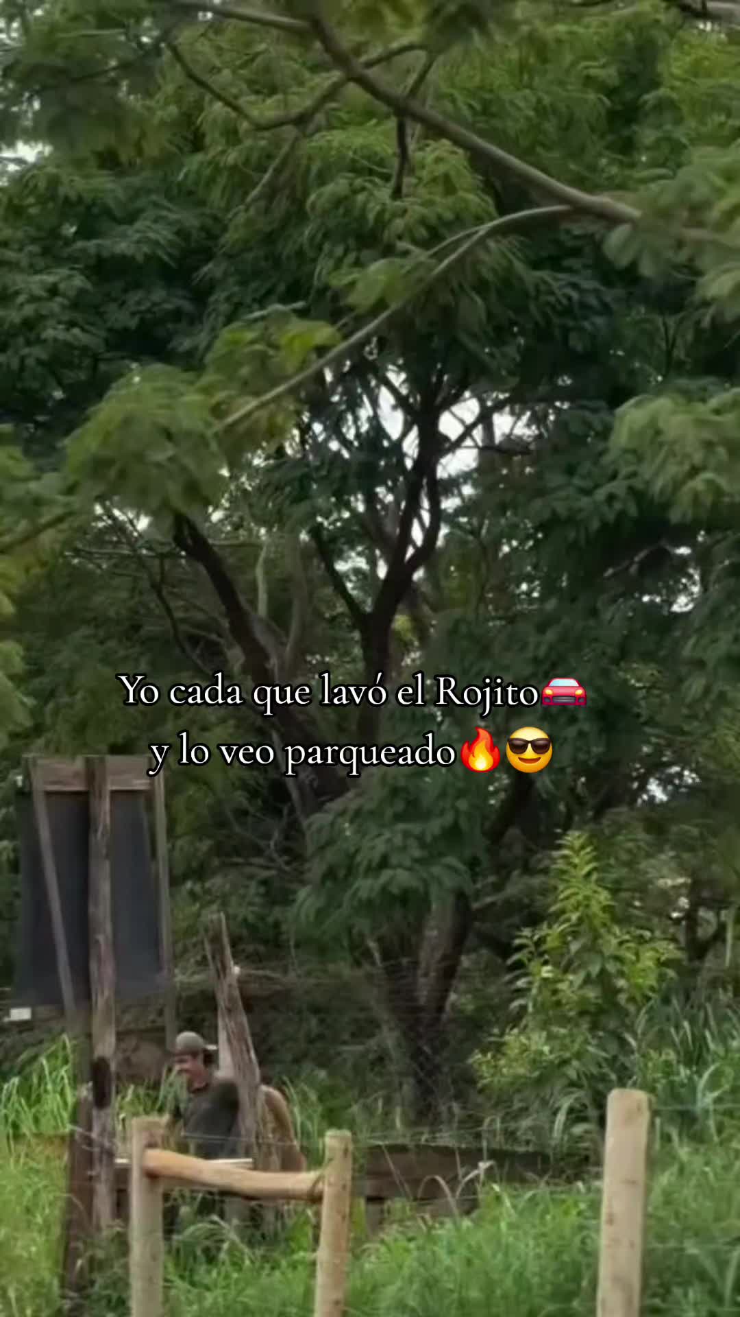 @Dionisio