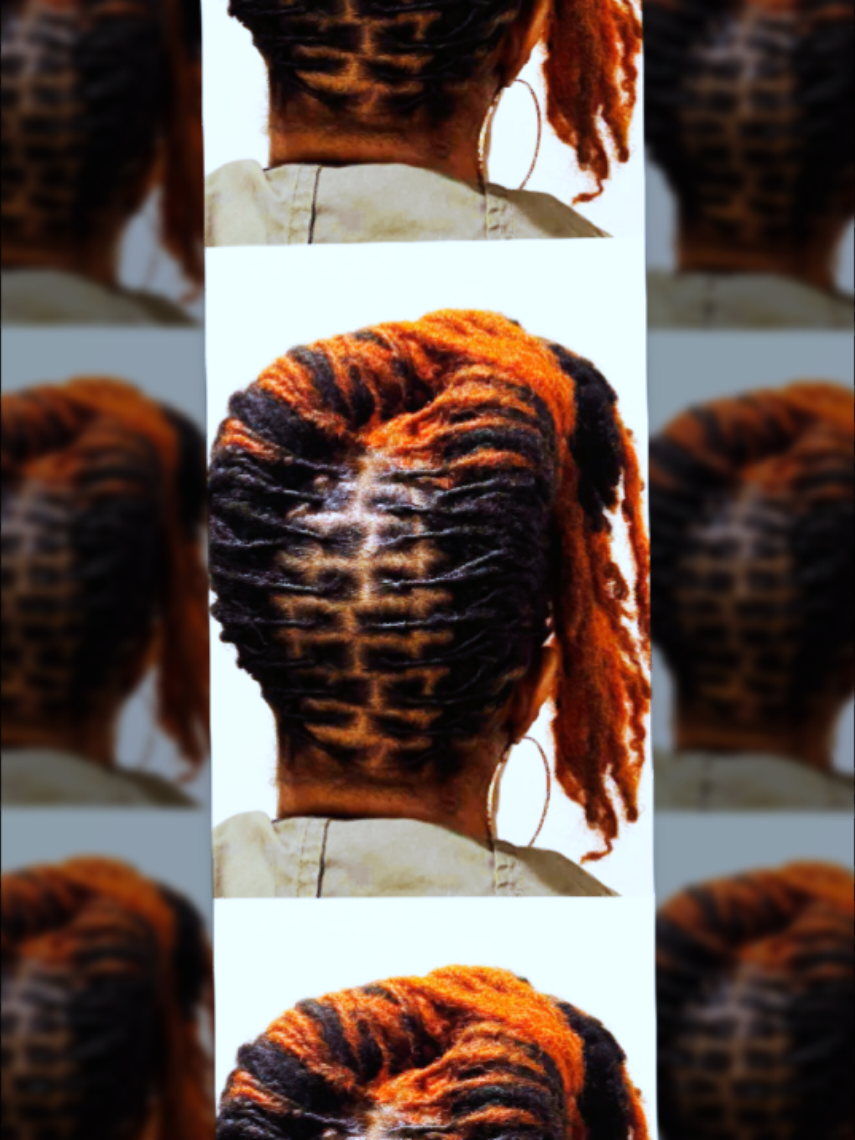 @Petra's Regal Locs