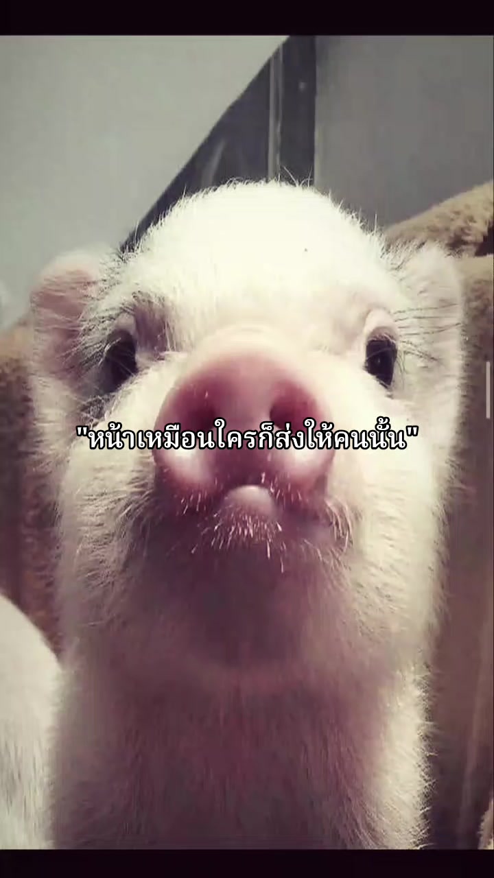 @F♡