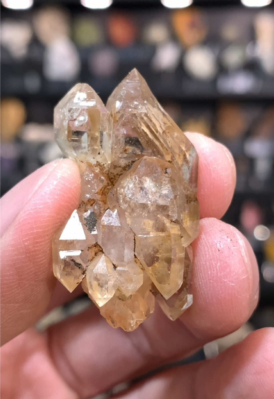 @Pocket of Crystals