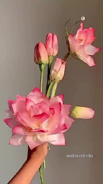 @หโน ๐ด๐๐๐๐๐ซ๐๐๐๐โฝหโน