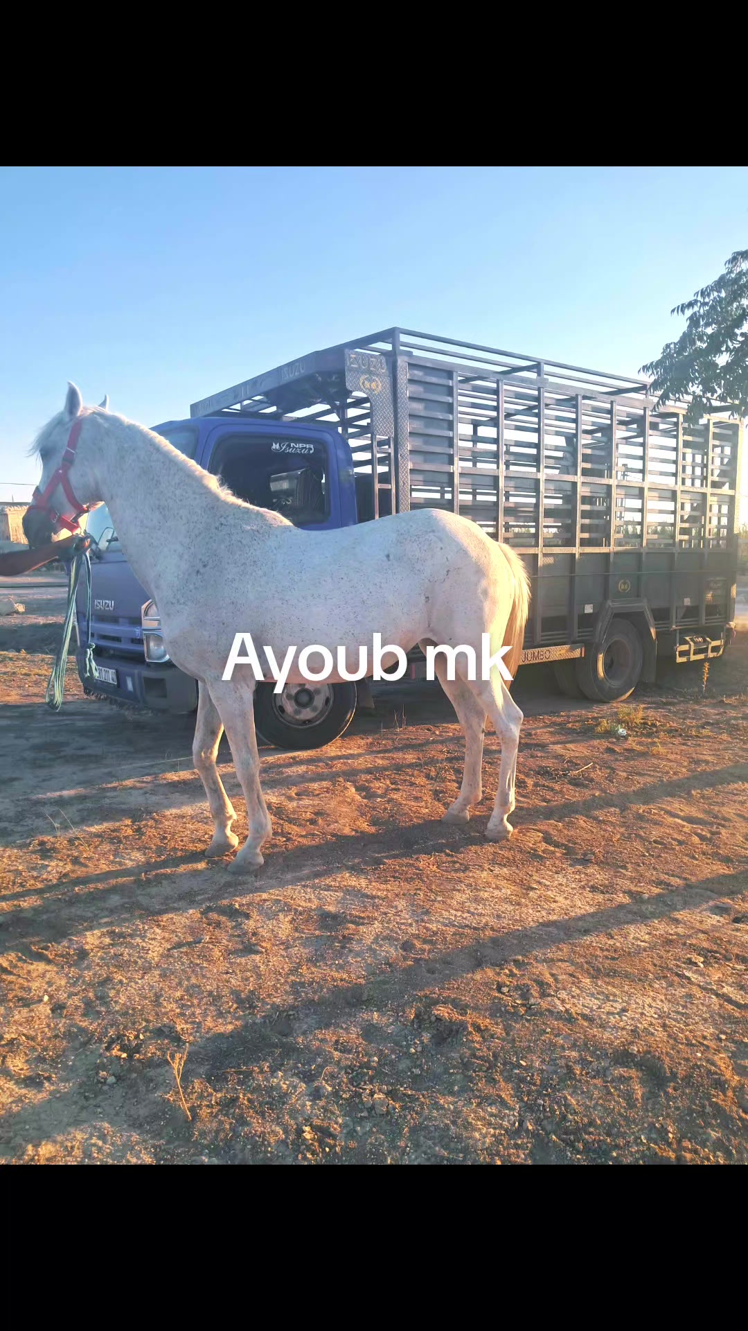 @Ayoub mk