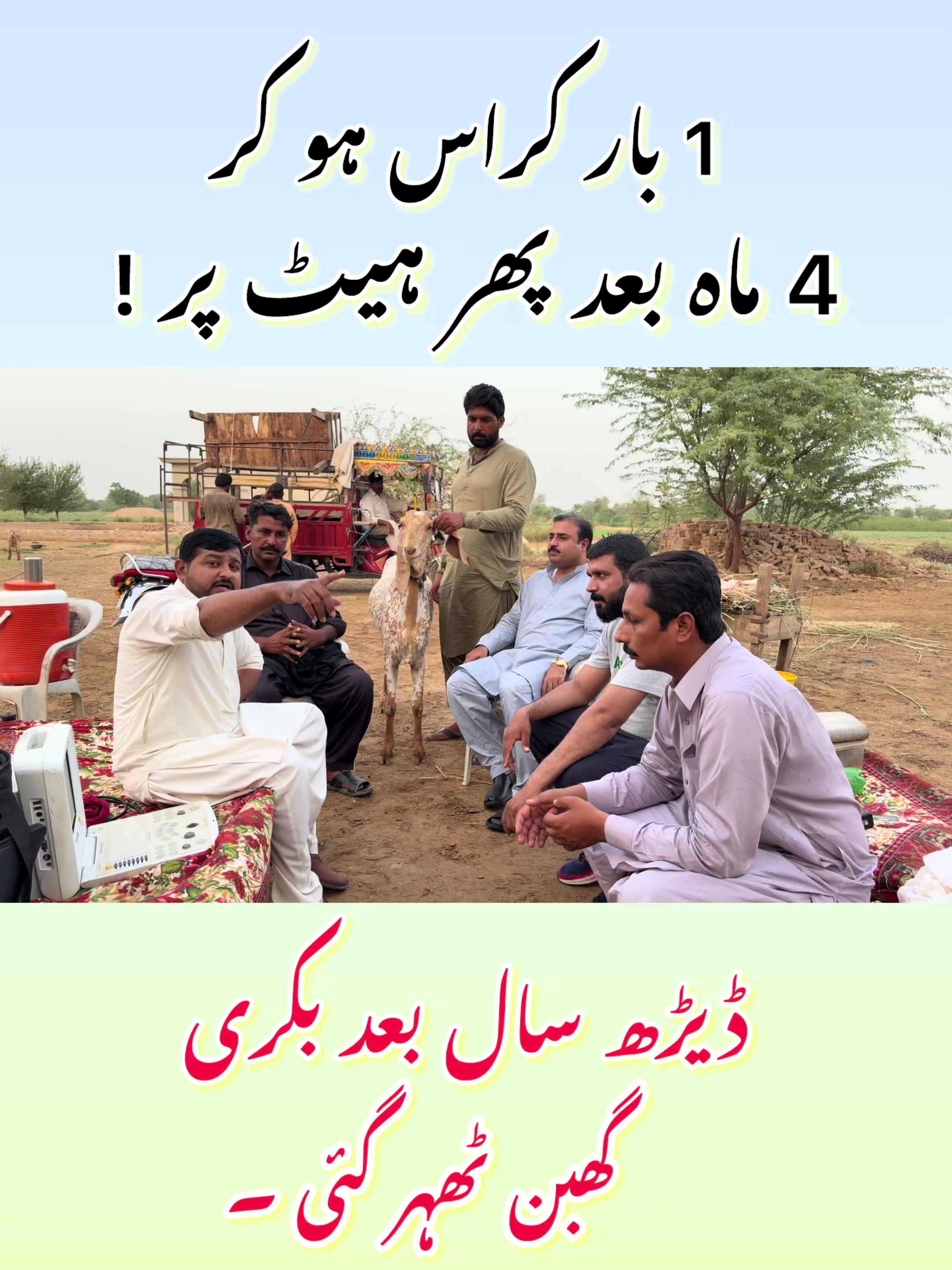 @Dr.Mohsin
