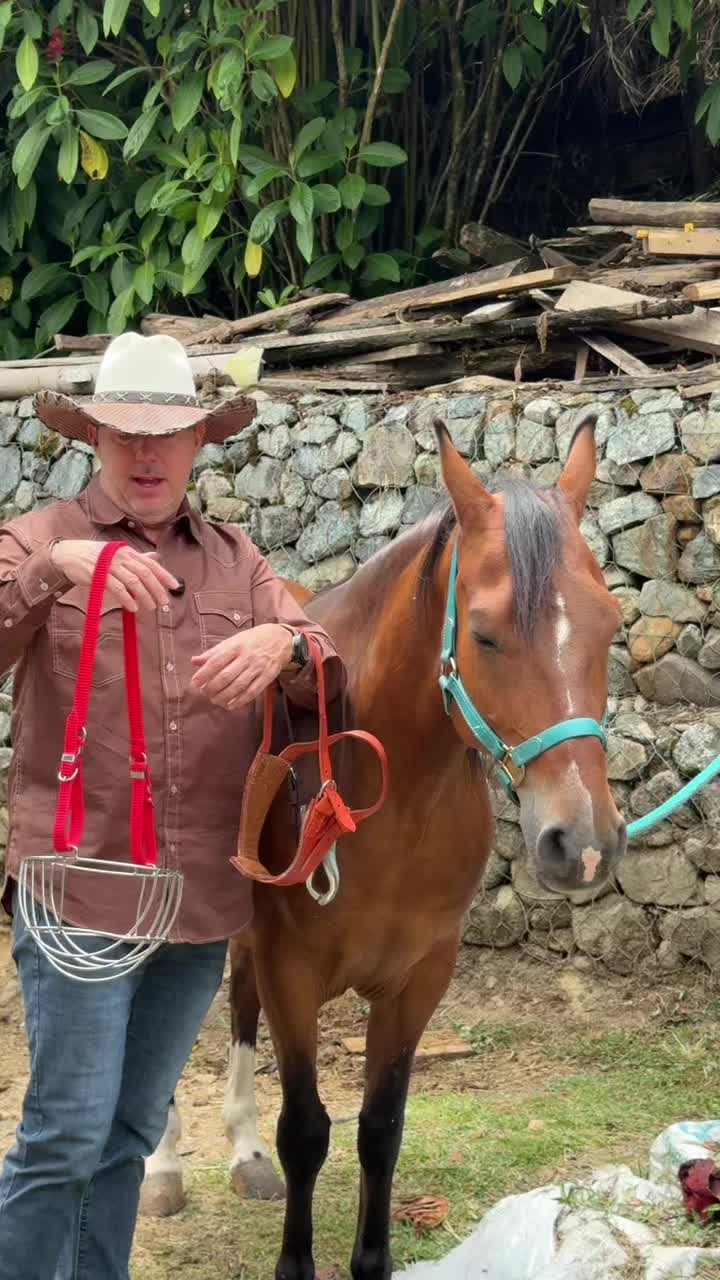 @Experiencias Equinas