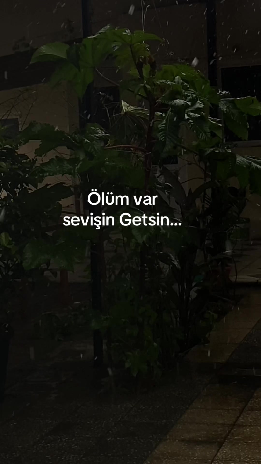 @gizli_hs