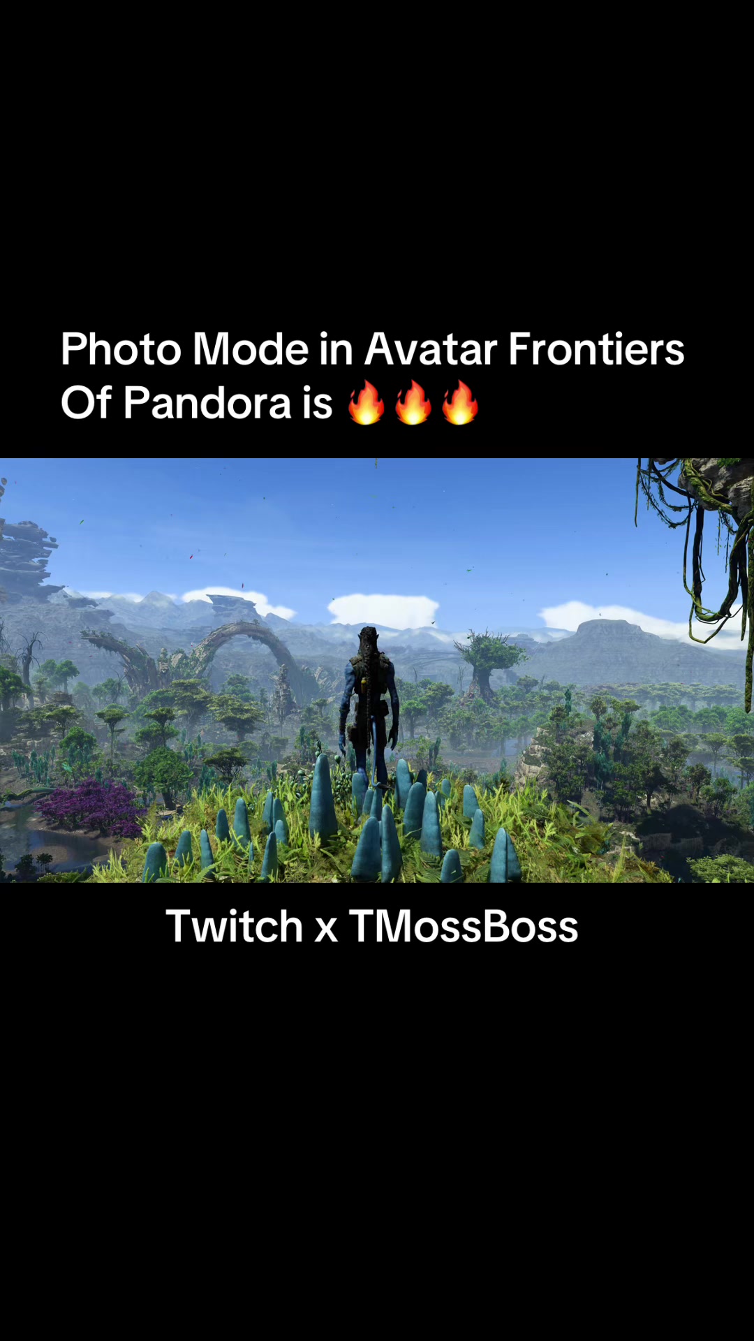 @TMossBoss