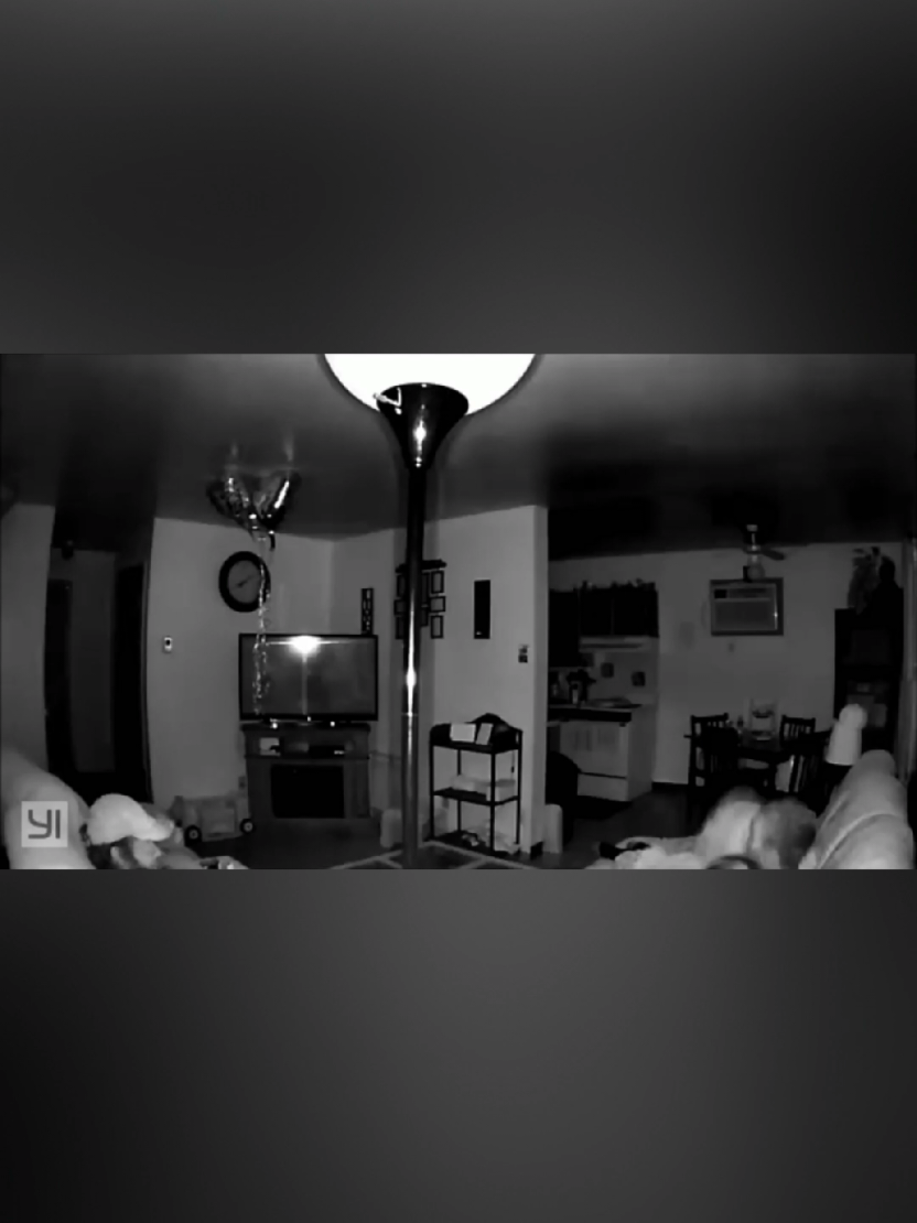 @DarkMoose