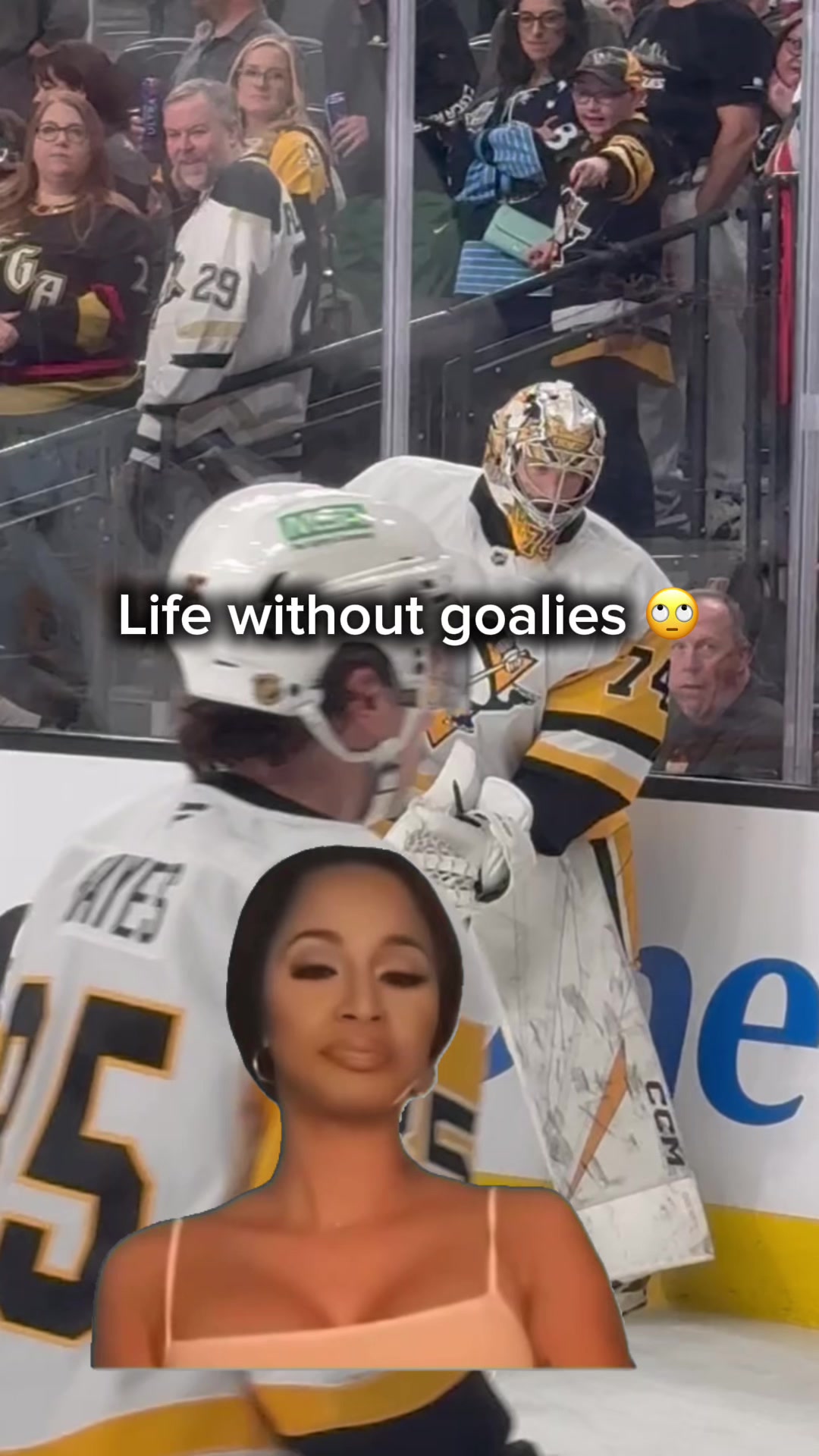 @vgkgoaliegirl🏒