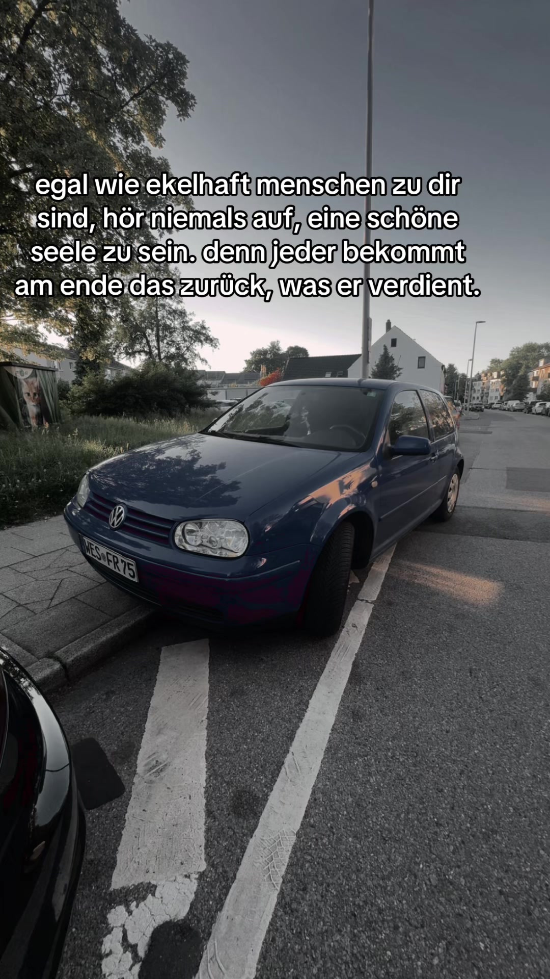 @🐺🇦🇱