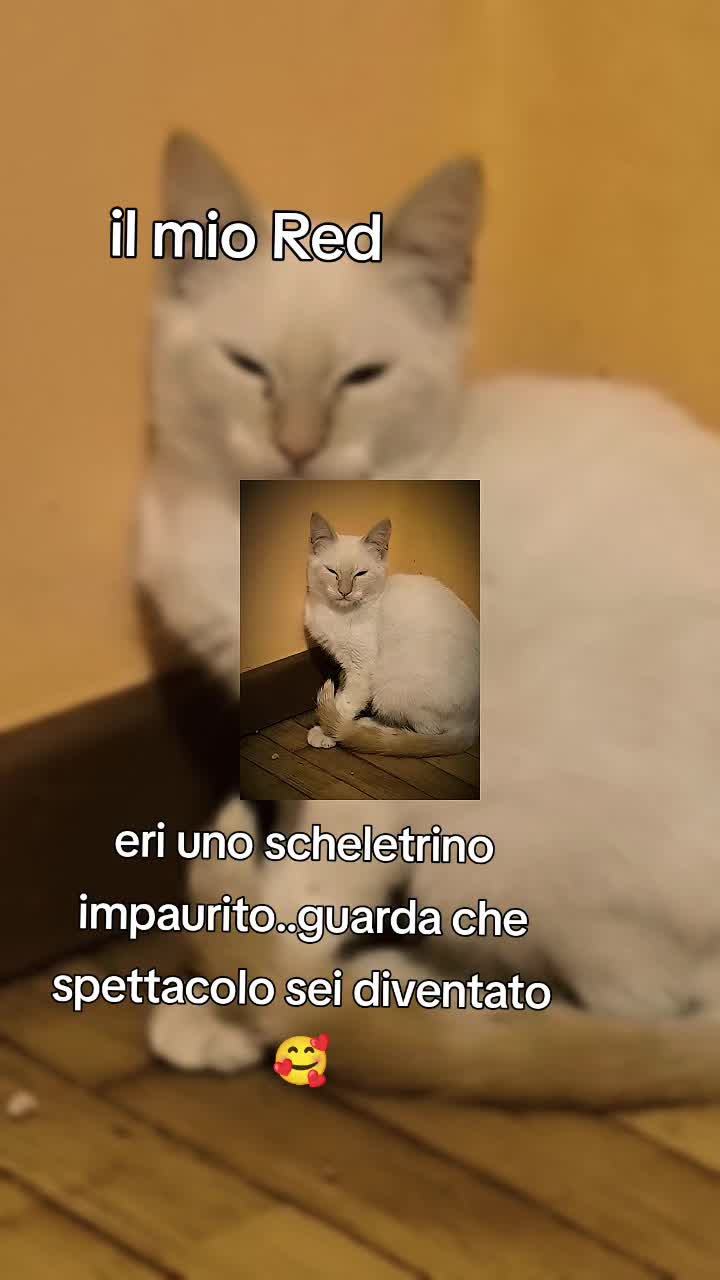 @Mimma 75๐