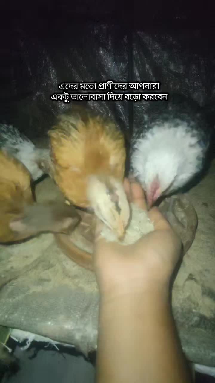 @đē āϰāĻāύ⧠đē